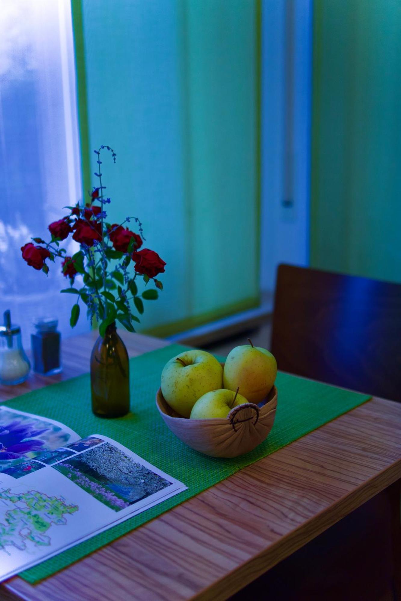 Bed & Breakfast Outlet Hotel Деттинген-на-Эрмсе Экстерьер фото